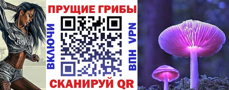 Псилоцибиновые грибы ЛСД  где найти   hydra ONION  Змеиногорск 